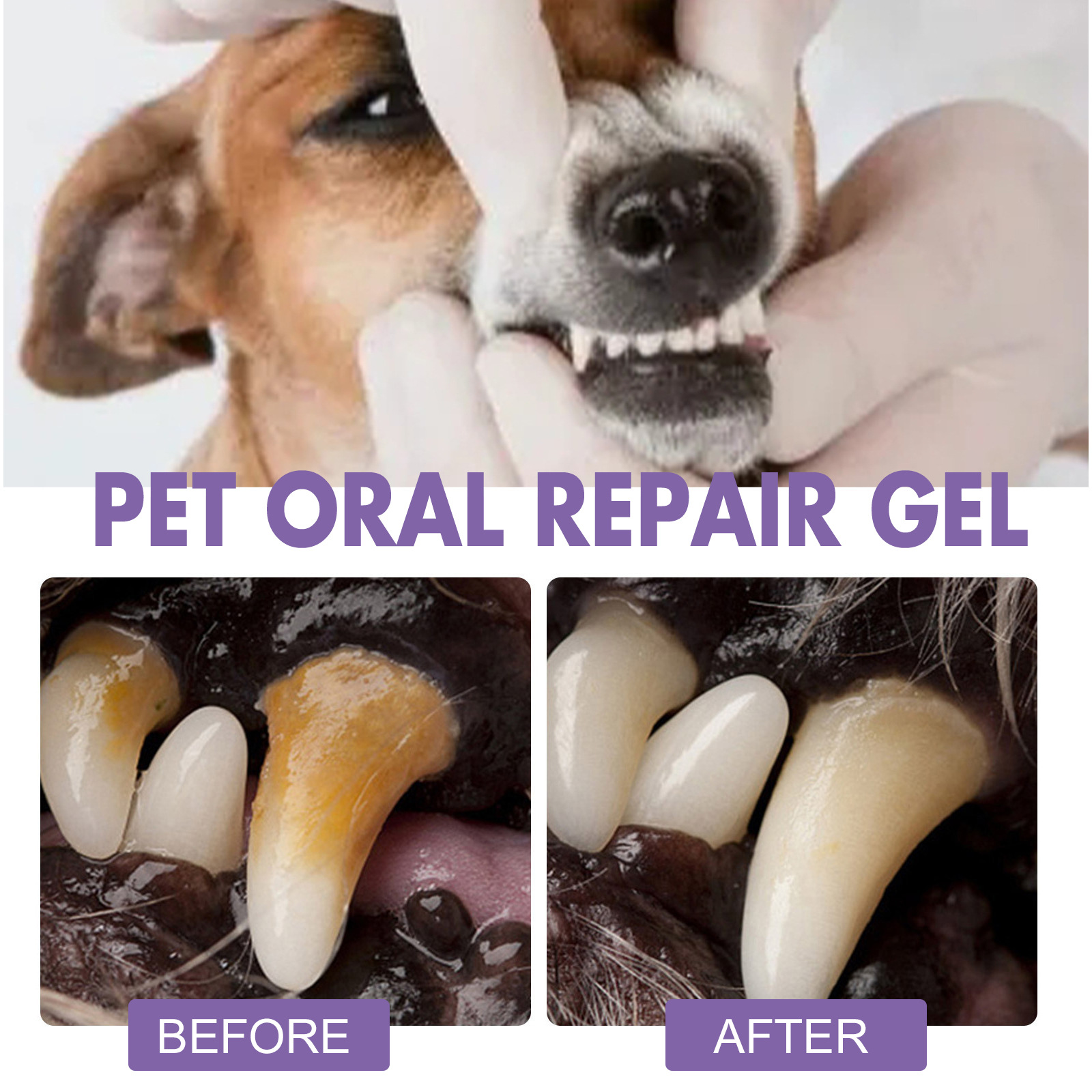 ペット口腔修復ジェル子犬歯石除去消臭剤白くする猫犬歯ステイン - Teeth Whitening With Peroxide のレビューと価格