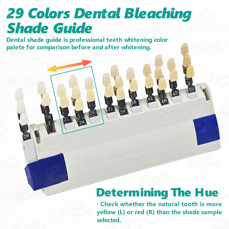Vita 3D マスター歯科ラボ漂白シェードガイド 29 色 - Teeth Whitening Lab のレビューと価格